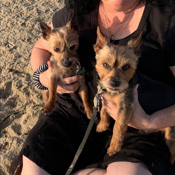 2020 - My Grandchildren- 💕Blessed💕 - Picture 7 of 7